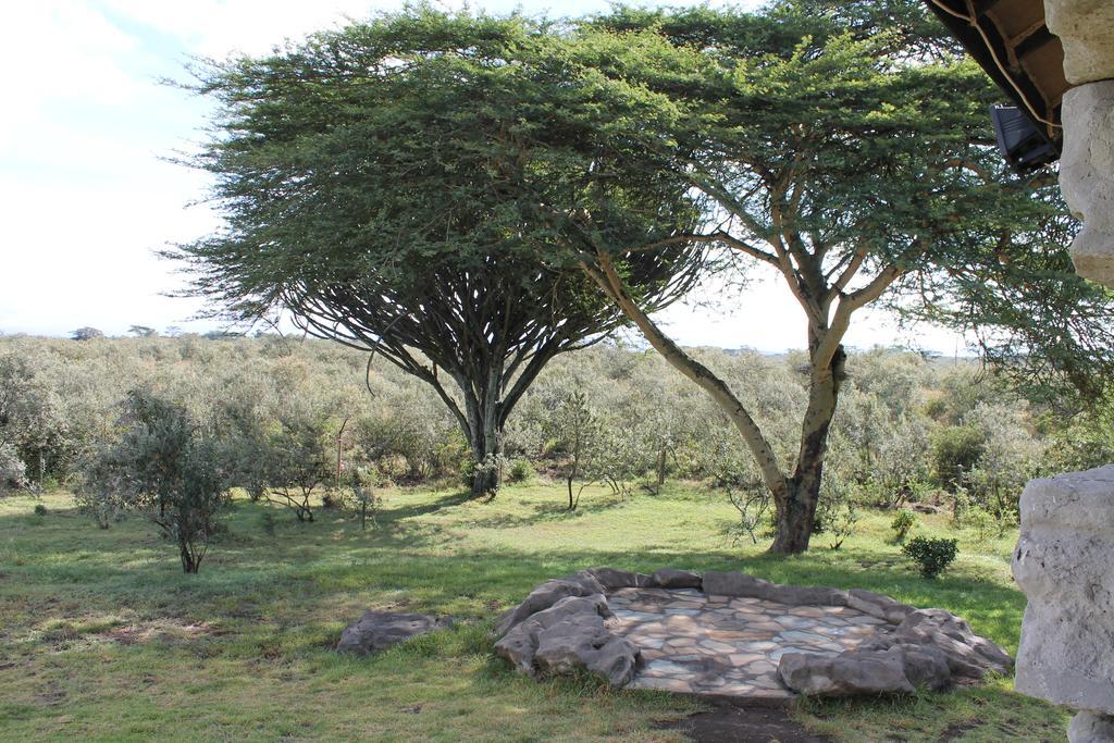 Shwari Cottages Naivasha Esterno foto